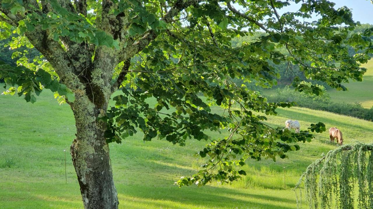 Domaine Du Cardou Hotel Puy-lʼÉvêque Eksteriør billede