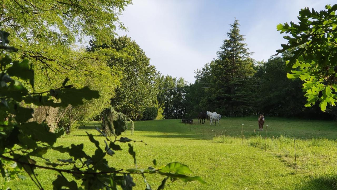 Domaine Du Cardou Hotel Puy-lʼÉvêque Eksteriør billede