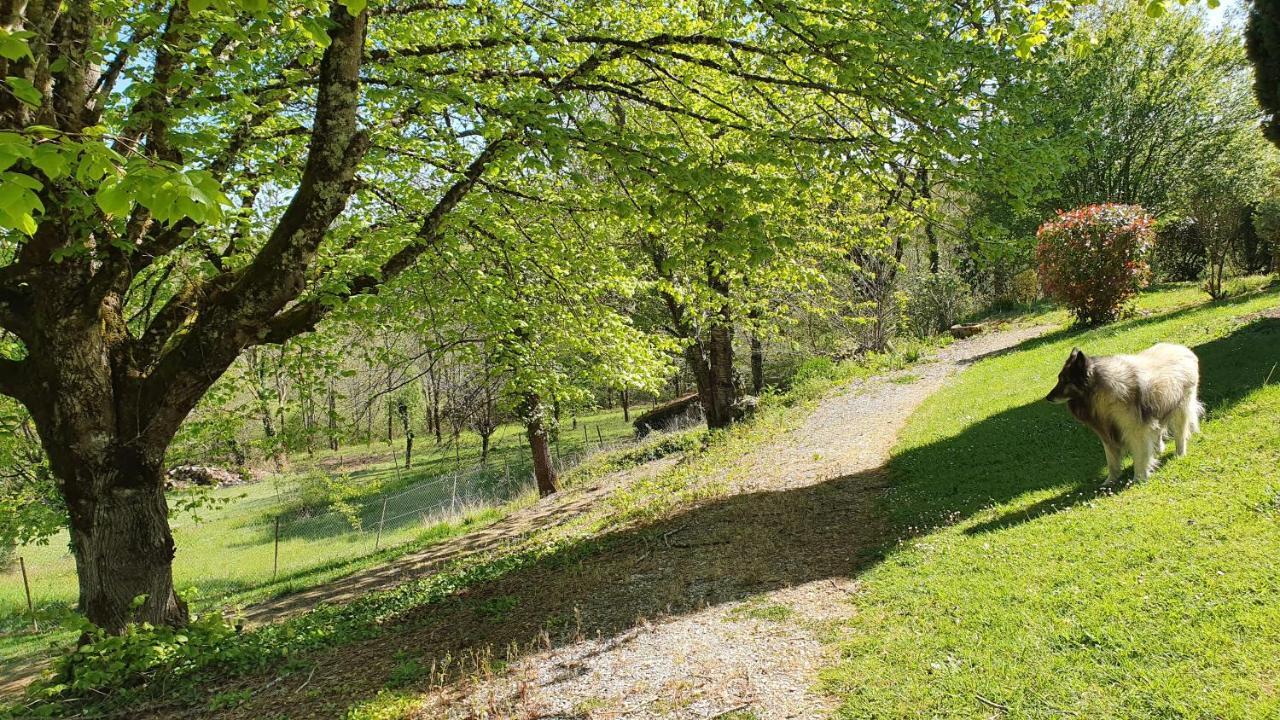 Domaine Du Cardou Hotel Puy-lʼÉvêque Eksteriør billede